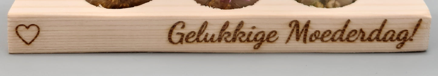 3 luchtplantjes 🌱 in buisjes